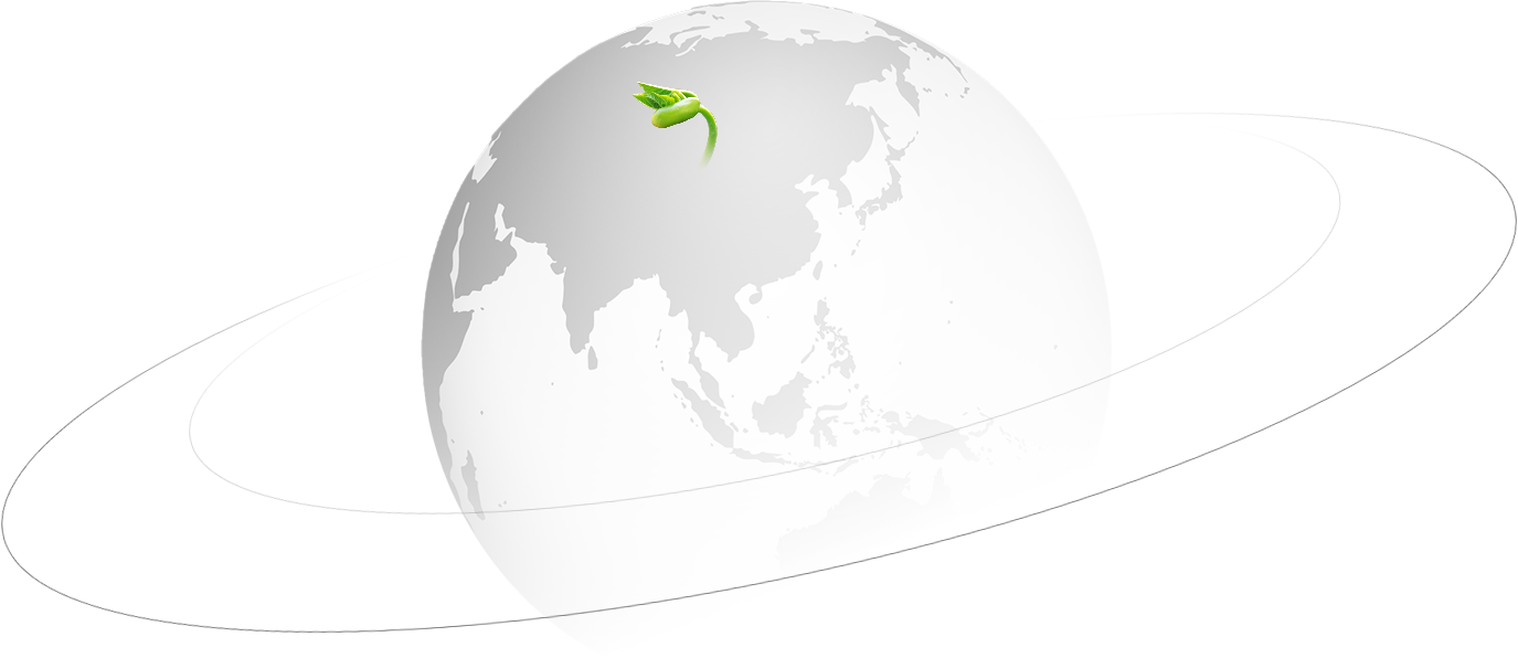 Zheyi Boru Hattı (Wuhan) Co., Ltd.